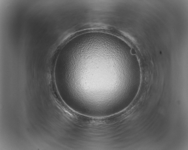 X0000071951407200607141447