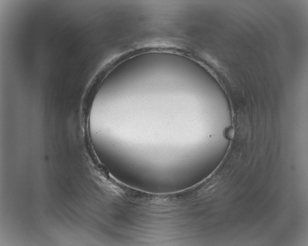 X0000071951408200607141447