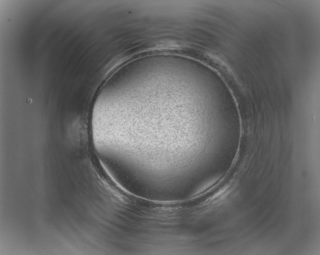 X0000071951409200607141447