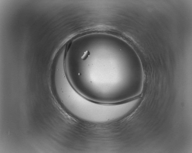 X0000071951410200607141447