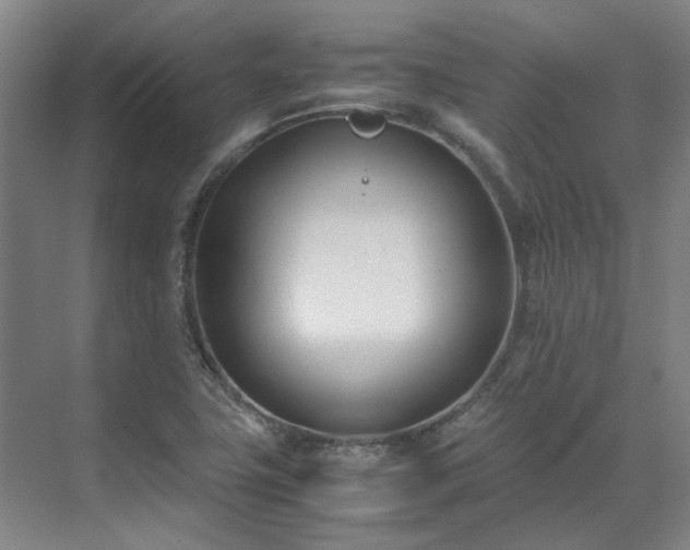 X0000071951411200607141447