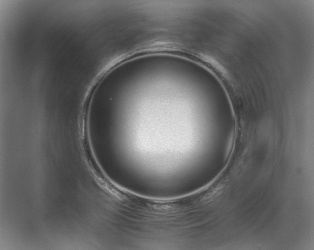 X0000071951413200607141447