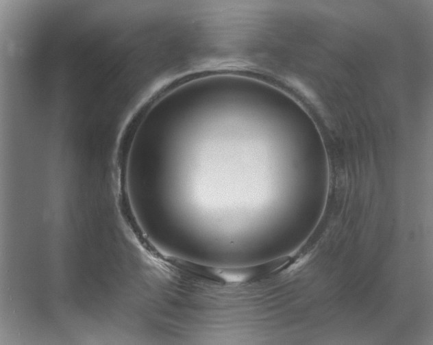 X0000071951414200607141447