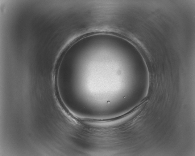 X0000071951416200607141447