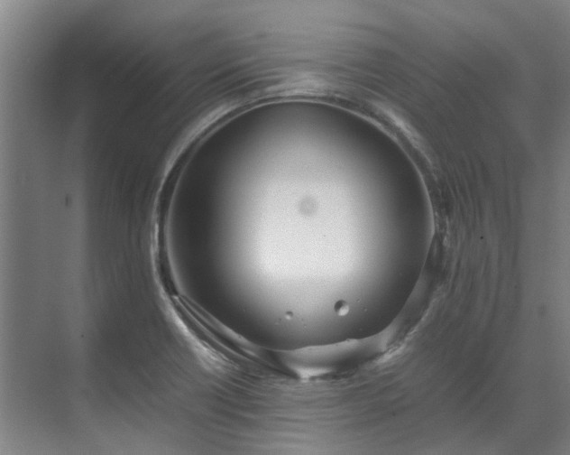 X0000071951418200607141447