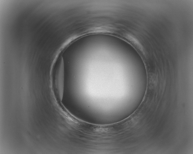 X0000071951419200607141447