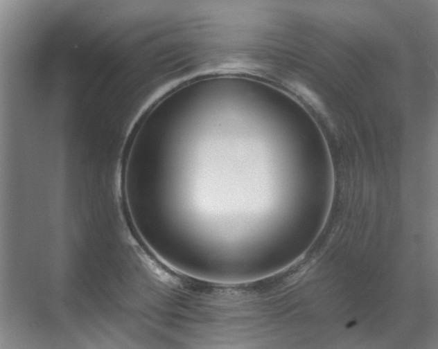 X0000071951420200607141447