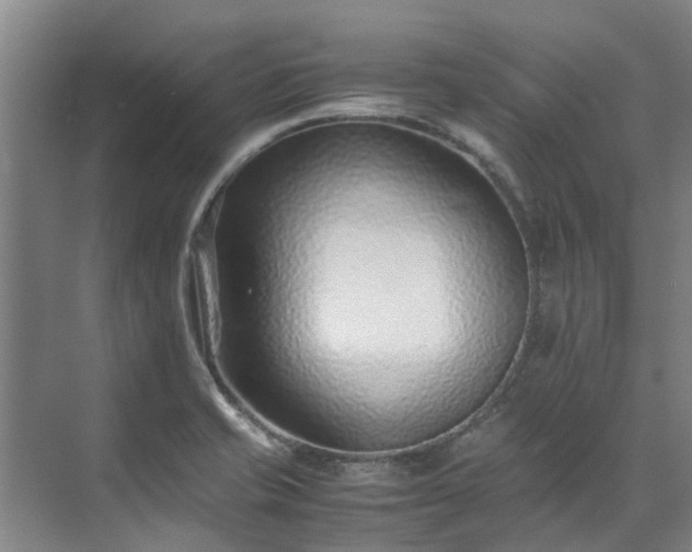 X0000071951421200607141447