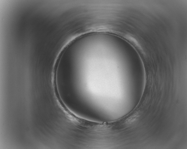 X0000071951424200607141447