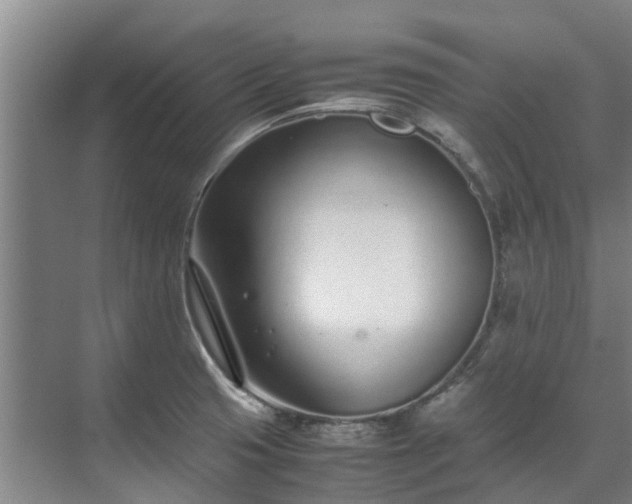 X0000071951425200607141447