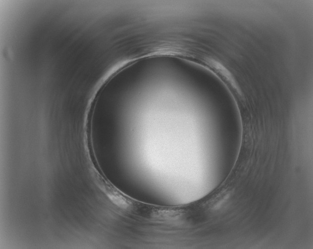 X0000071951427200607141447