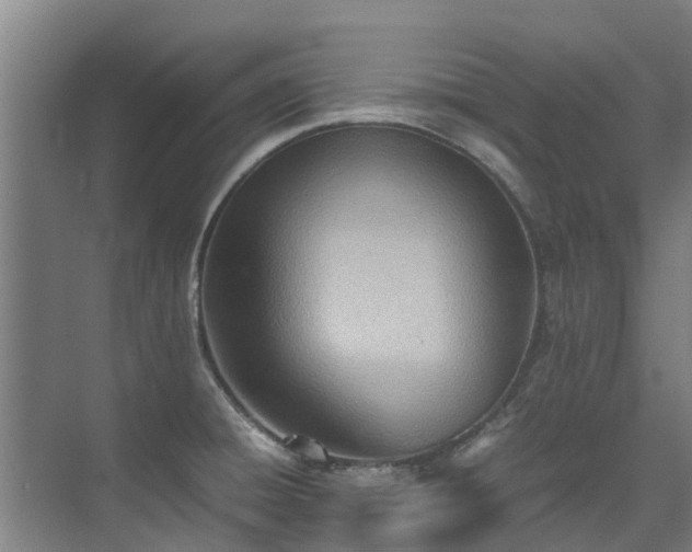 X0000071951428200607141447