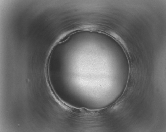 X0000071951429200607141447