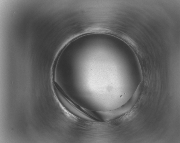 X0000071951430200607141447