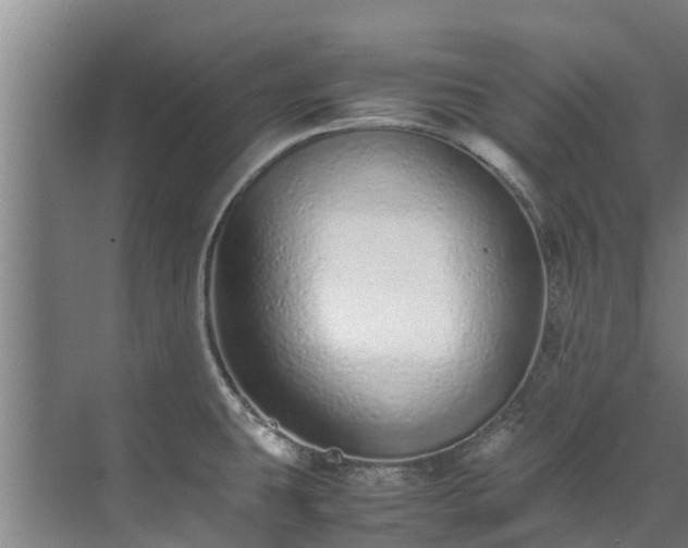 X0000071951431200607141447