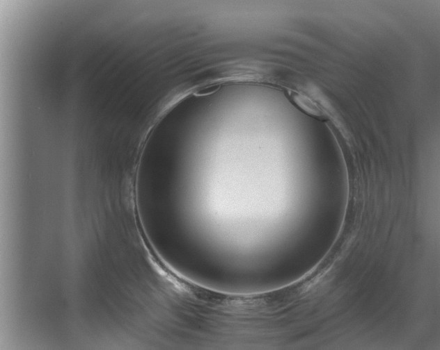 X0000071951433200607141447