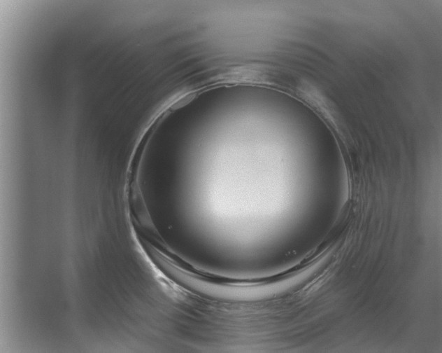 X0000071951434200607141447