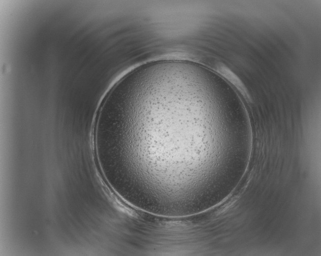 X0000071951436200607141447