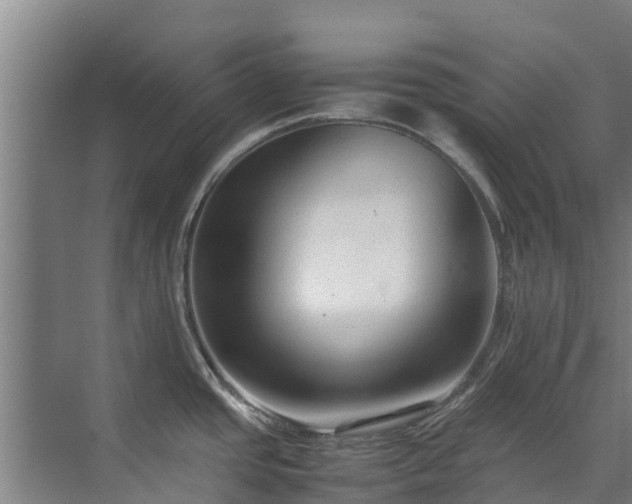 X0000071951437200607141447