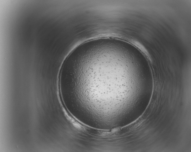 X0000071951439200607141447