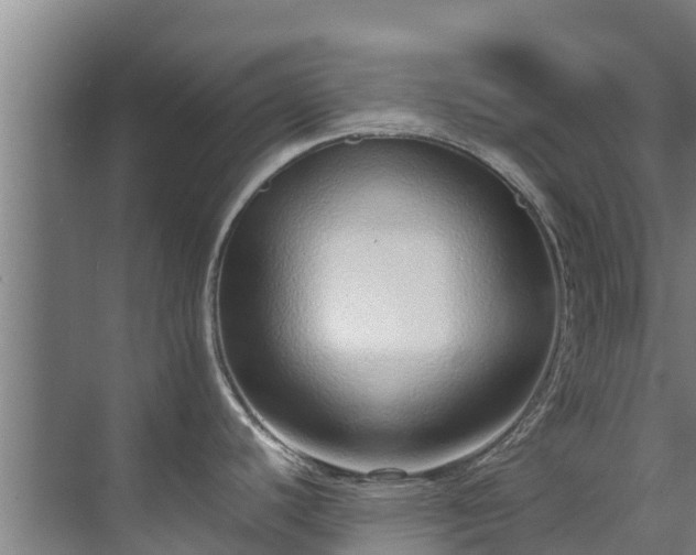 X0000071951440200607141447