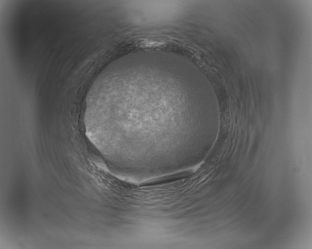 X0000071951441200607141447