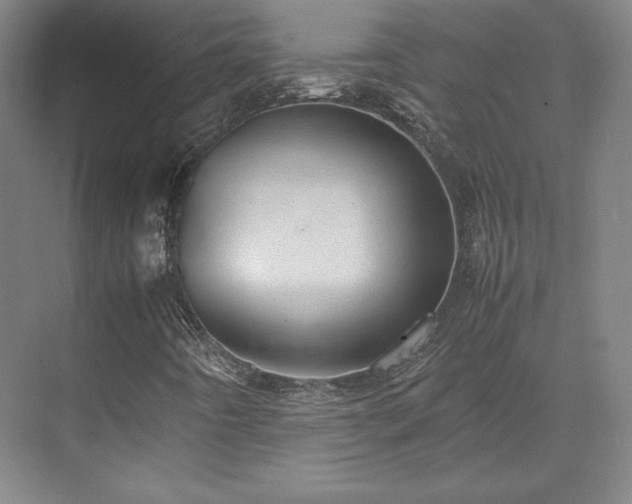 X0000071951442200607141447