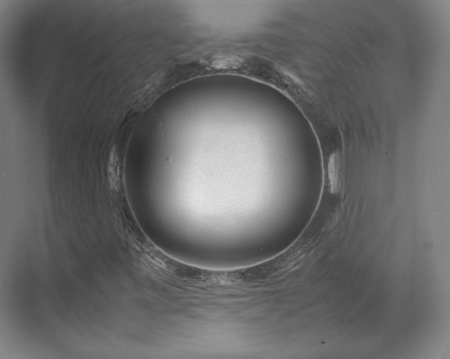 X0000071951443200607141447