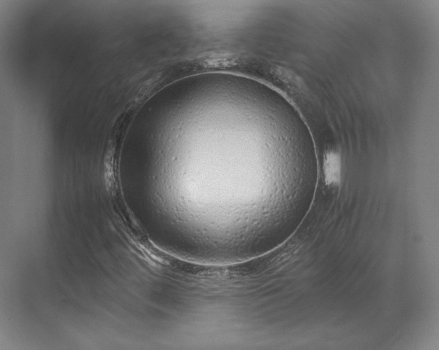 X0000071951444200607141447