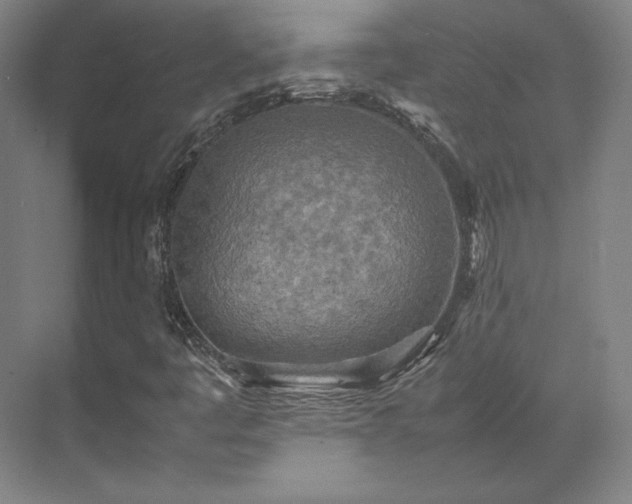 X0000071951445200607141447