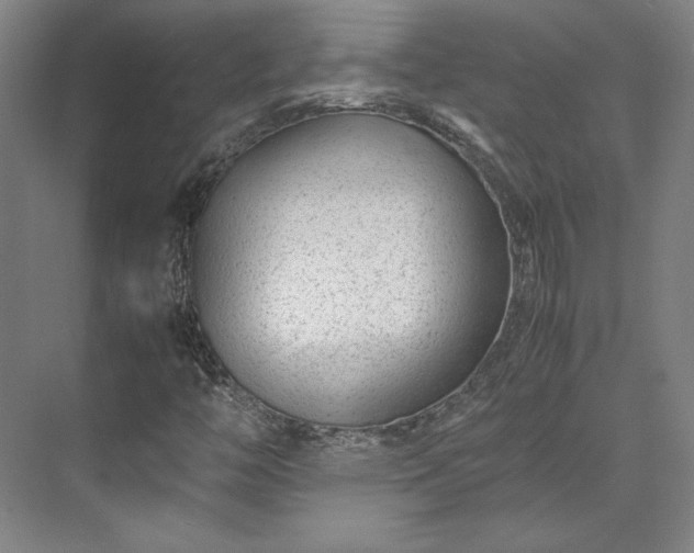 X0000071951446200607141447