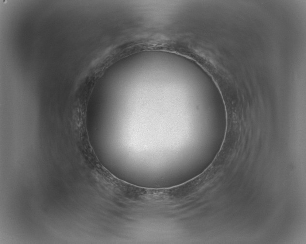 X0000071951447200607141446