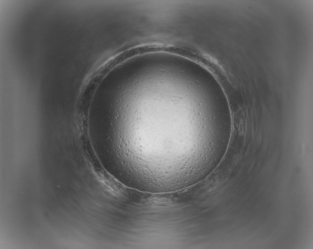 X0000071951448200607141446