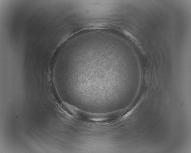 X0000071951449200607141446