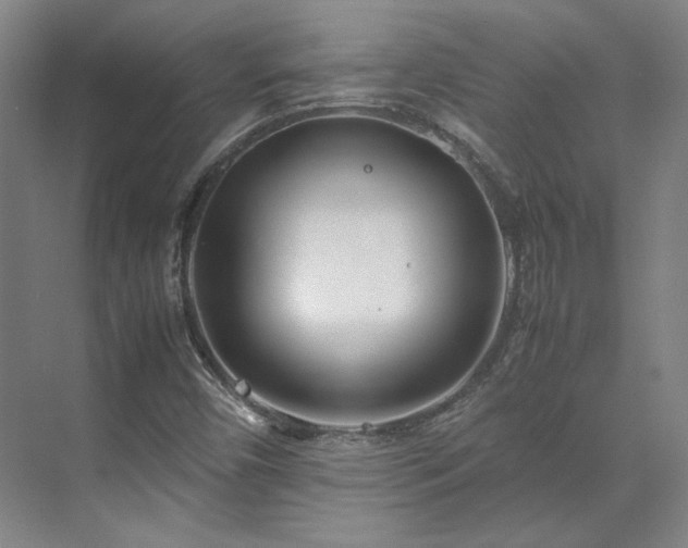 X0000071951450200607141446