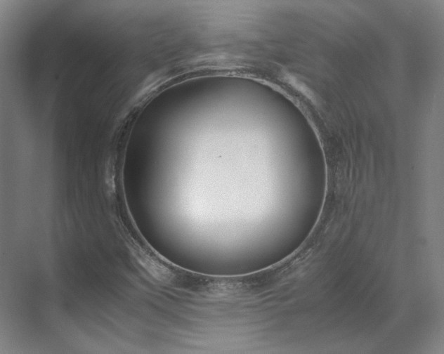 X0000071951451200607141446