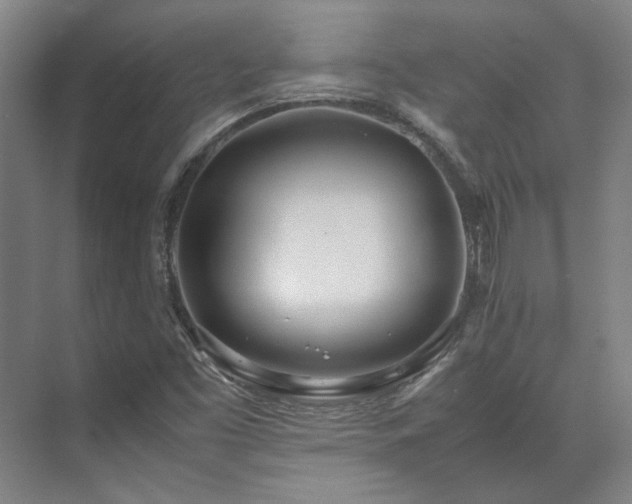 X0000071951453200607141446