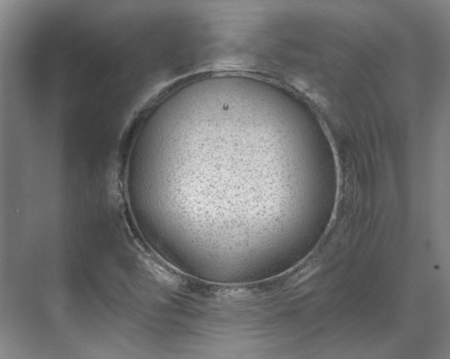 X0000071951454200607141446