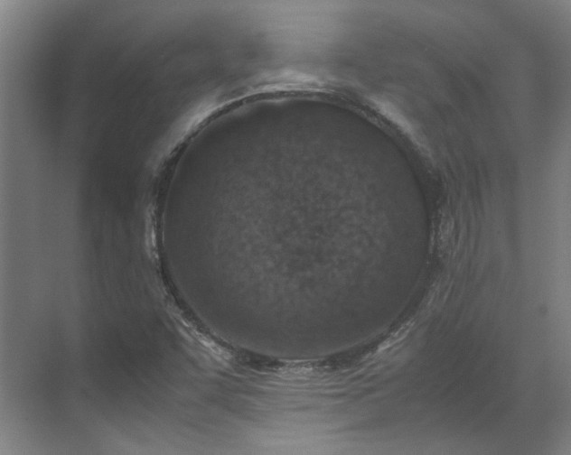 X0000071951455200607141446