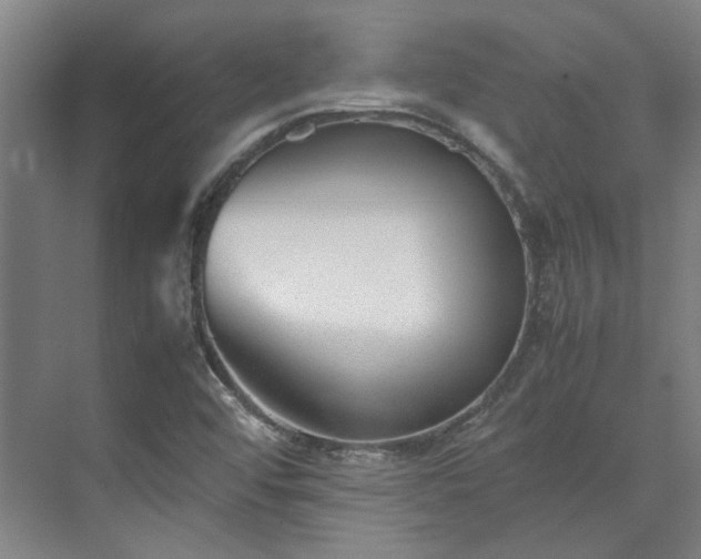 X0000071951456200607141446