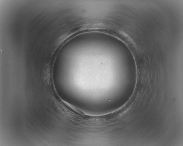 X0000071951457200607141446