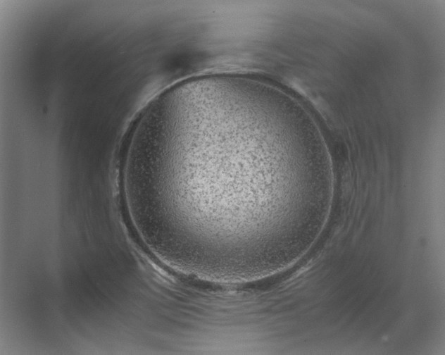 X0000071951459200607141446