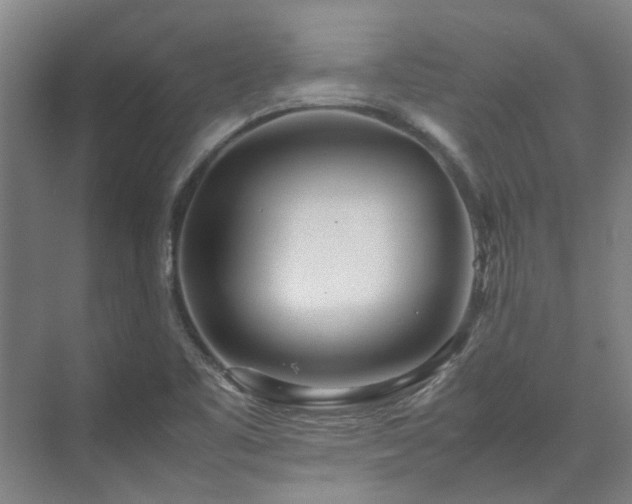 X0000071951461200607141446