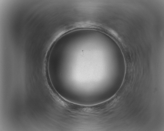 X0000071951463200607141446