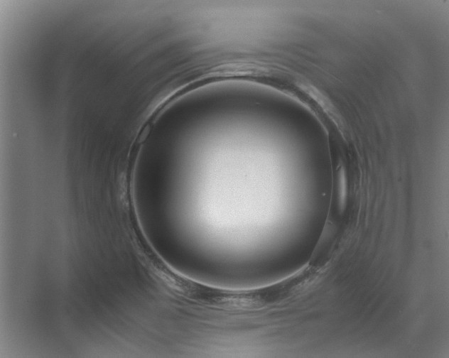 X0000071951465200607141446