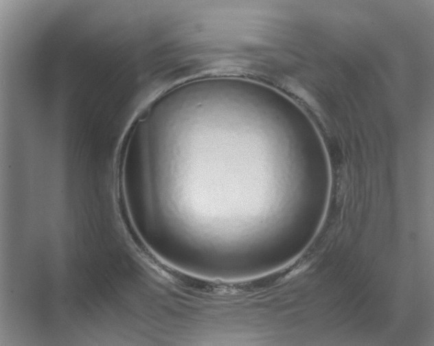 X0000071951467200607141446