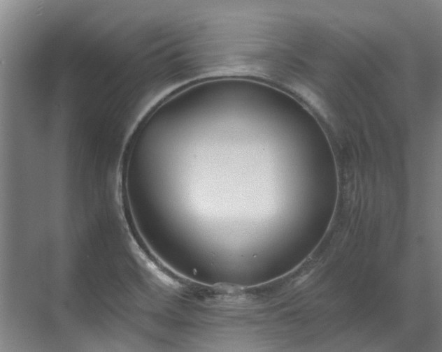 X0000071951468200607141446