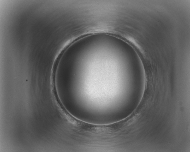 X0000071951469200607141446