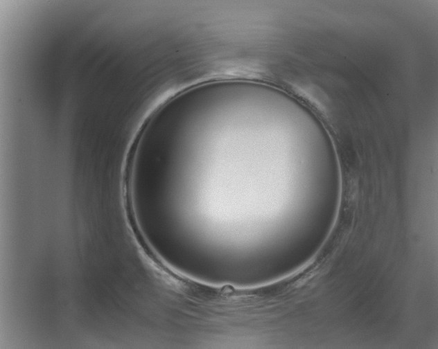 X0000071951471200607141446