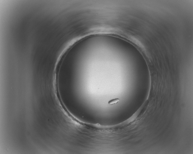 X0000071951472200607141446